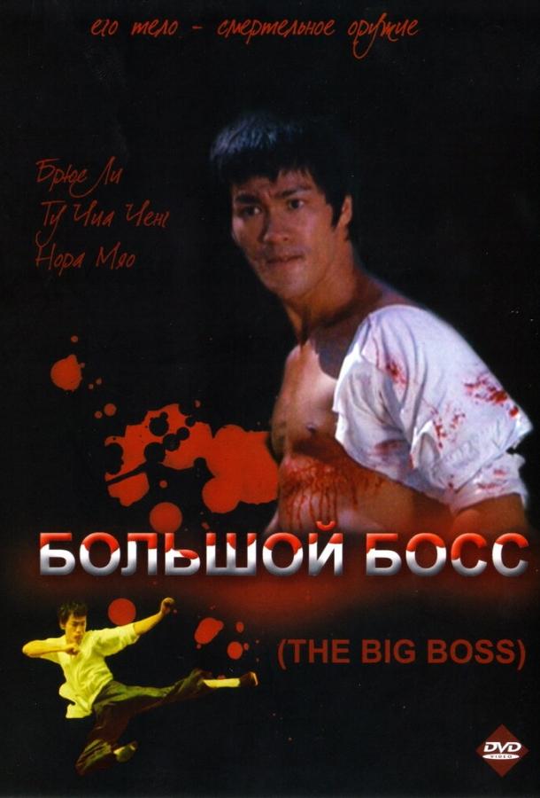 Фильм Большой босс (1971) смотреть онлайн
